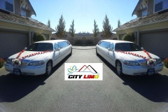 City-Limo-AD-PIC