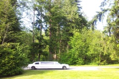 City-limo-27
