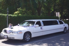 Limo-3