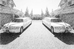 imageedit_2_9826661989