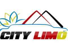 logo1